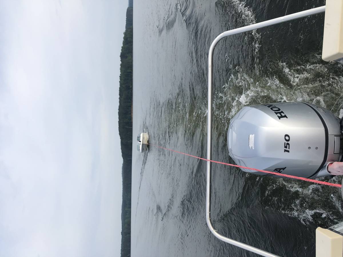 Tow in progress